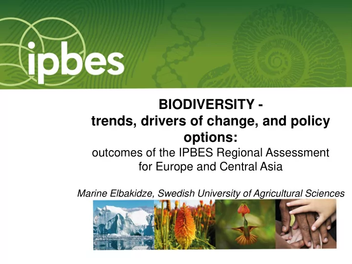 trends drivers of change and policy