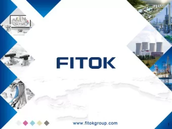 1  FITOK Overview    FITOK was founded in 1998   One of the worlds leading suppliers of