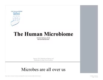 The Human Microbiome  Christine Rodriguez, Ph.D.  Harvard Outreach 2012  Summer 2012 Workshop in