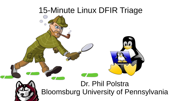15 minute linux dfir triage