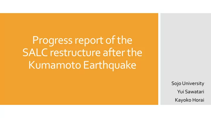progress report of the salc restructure after the