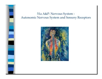 51a A&amp;P: Nervous System -   Autonomic Nervous System and Sensory Receptors 51a A&amp;P: