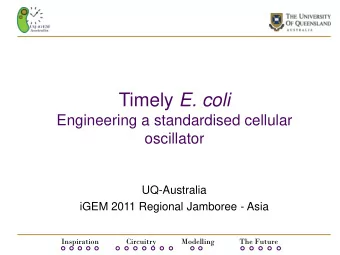 Timely E. coli  Engineering a standardised cellular  oscillator  UQ-Australia  iGEM 2011 Regional