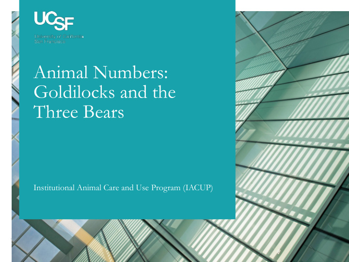 animal numbers goldilocks and the three bears