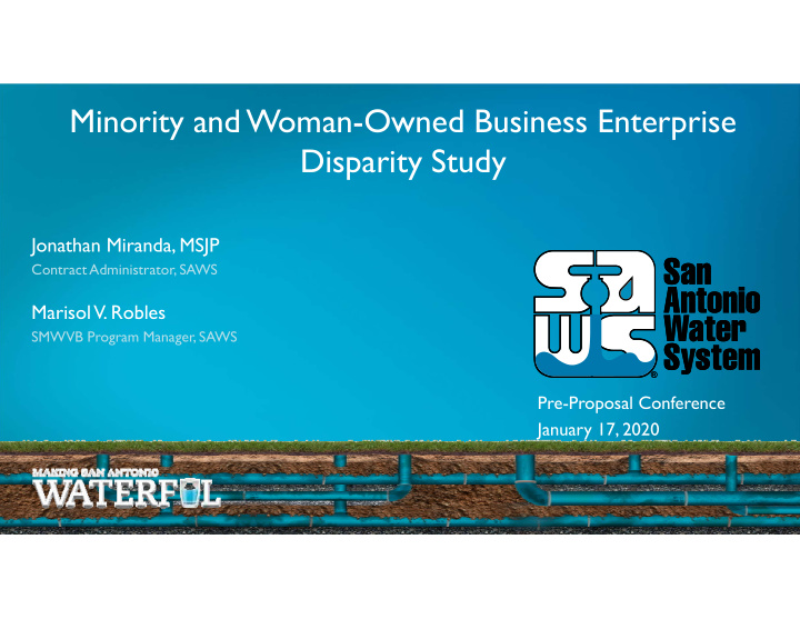 minority and woman owned business enterprise disparity