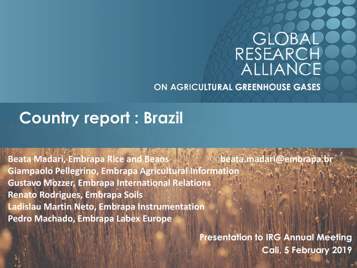 country report brazil