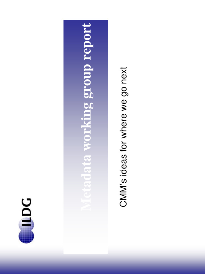 metadata working group report