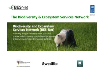 The Biodiversity &amp; Ecosystem Services Network  What is BES-Net?  A UNDP-managed capacity
