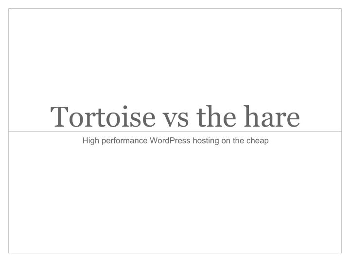 tortoise vs the hare