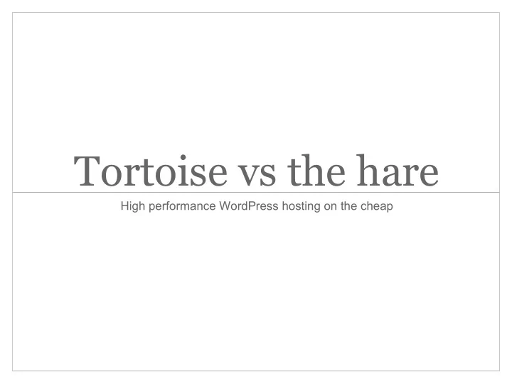 tortoise vs the hare