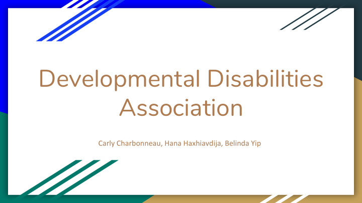 developmental disabilities association