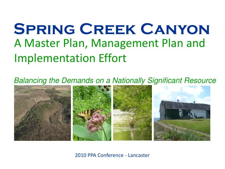 spring creek canyon