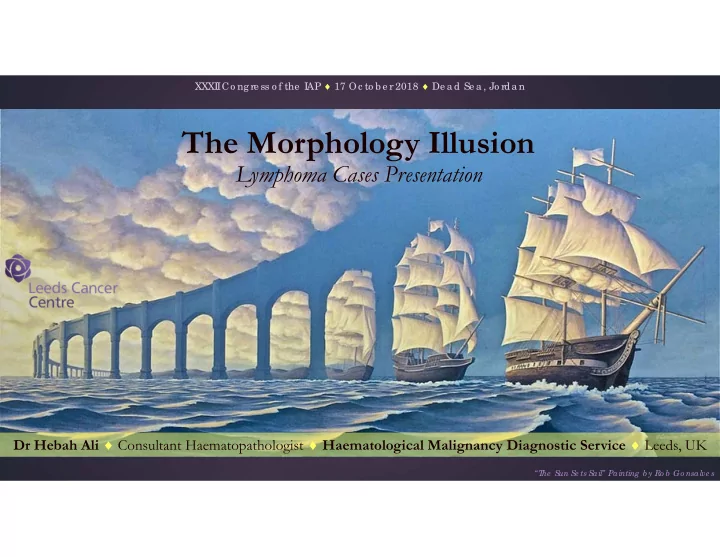 the morphology illusion