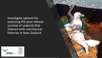 assessing the post-release  survival of seabirds that  interact with commercial  fisheries in New