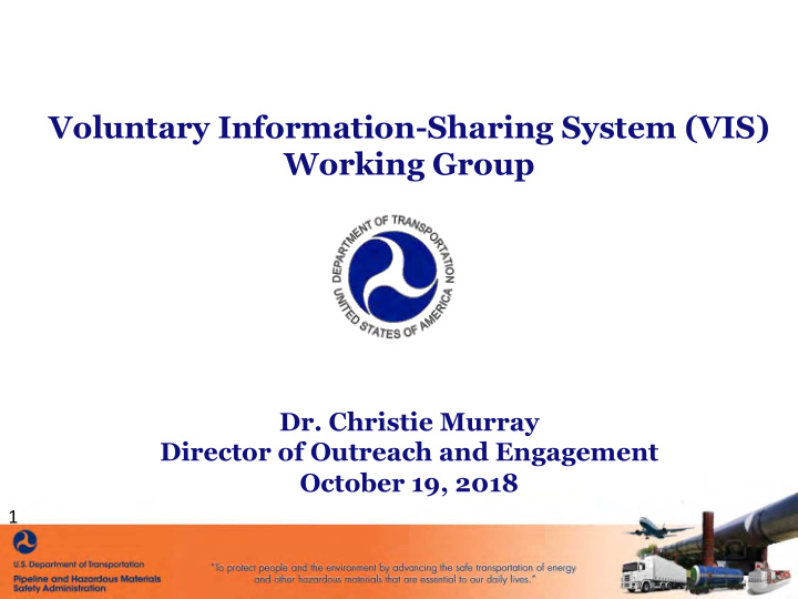 voluntary information sharing system vis working group