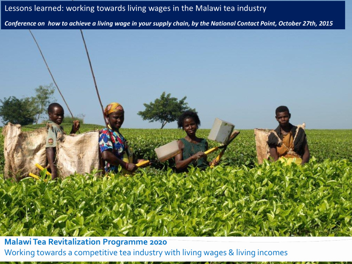 malawi tea revitalization programme 2020 working towards