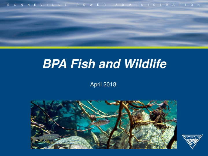 bpa fish and wildlife
