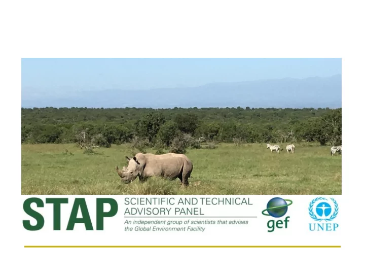 report to the 51 st meeting of the gef council