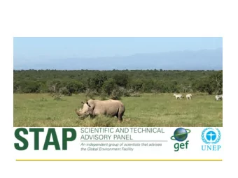 Report to the 51 st Meeting of the GEF Council  @STAPGEF Our Team  October 2016  @STAPGEF