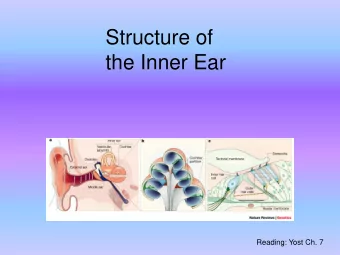 the Inner Ear  Reading: Yost Ch. 7  The Mammalian Ear  The Inner Ear Inner ear contains two sensory