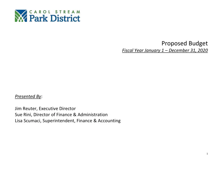 proposed budget fiscal year january 1 december 31 2020
