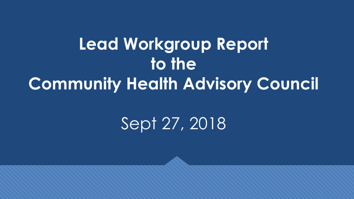 lead workgroup report to the community health advisory