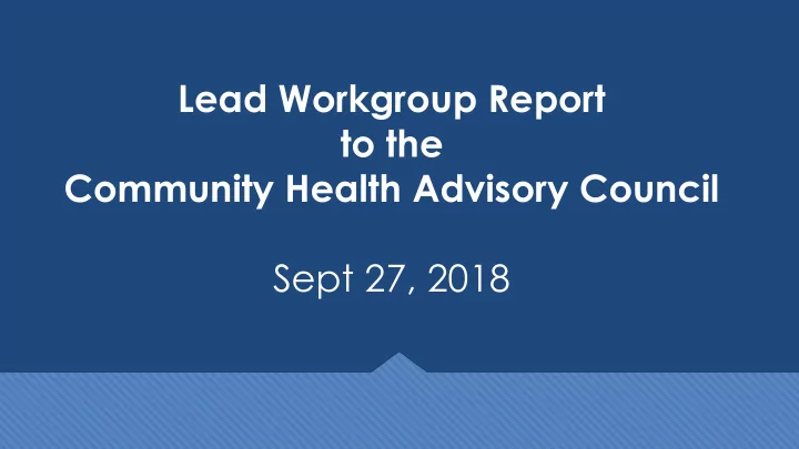 lead workgroup report to the community health advisory