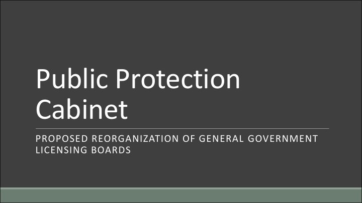 public protection