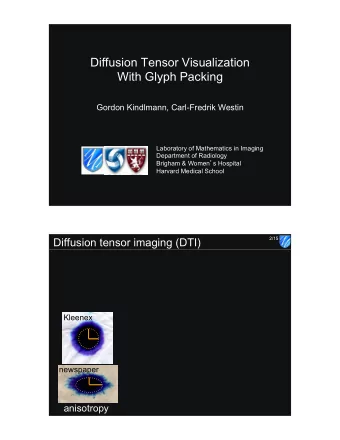 Diffusion Tensor Visualization  With Glyph Packing  Gordon Kindlmann, Carl-Fredrik Westin