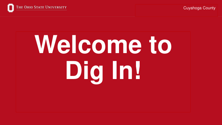 welcome to dig in