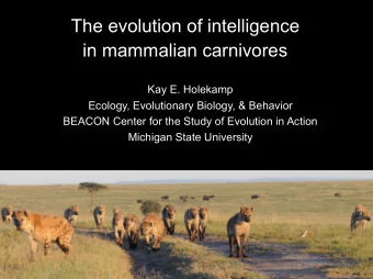 The evolution of intelligence  in mammalian carnivores  Kay E. Holekamp  Ecology, Evolutionary