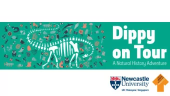 Housekeeping  Toilets  Fire alarms  WiFi - BTOpenzone  Photography  you can