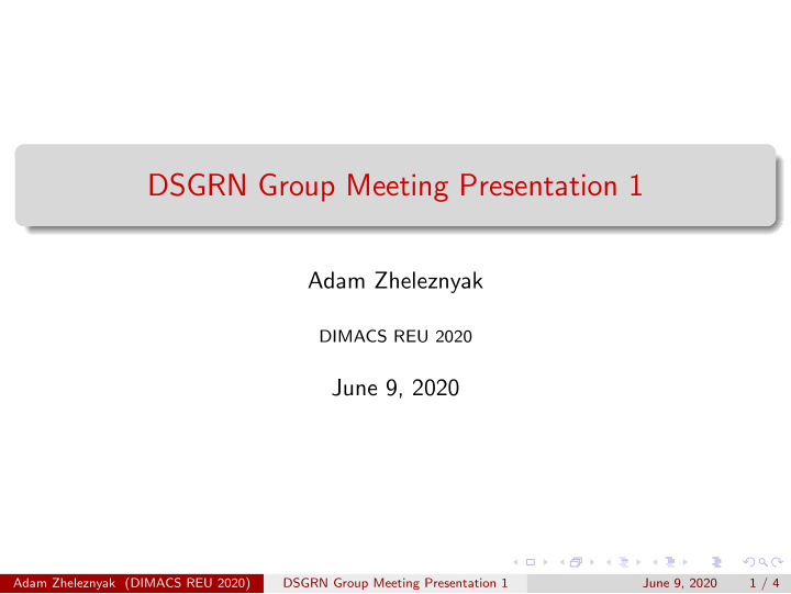 dsgrn group meeting presentation 1