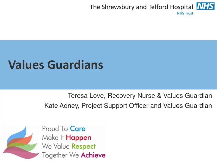 values guardians