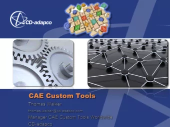 CAE Custom Tools  Introduction  CAE Custom Tools Services I.  Customization of STAR-CCM+ based on
