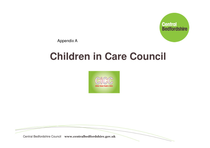 children in care council