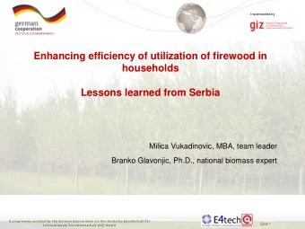 households Lessons learned from Serbia  Milica Vukadinovic, MBA, team leader  Branko Glavonjic,