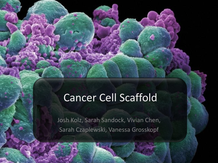 cancer cell scaffold