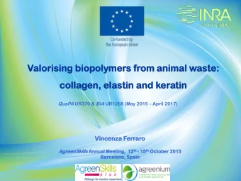Valorising  g biopo  polymers f  from an  animal w  was  aste  te:  collagen, e  elas  asti  tin