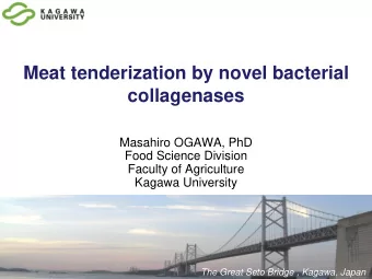 collagenases  Masahiro OGAWA, PhD  Food Science Division  Faculty of Agriculture  Kagawa University
