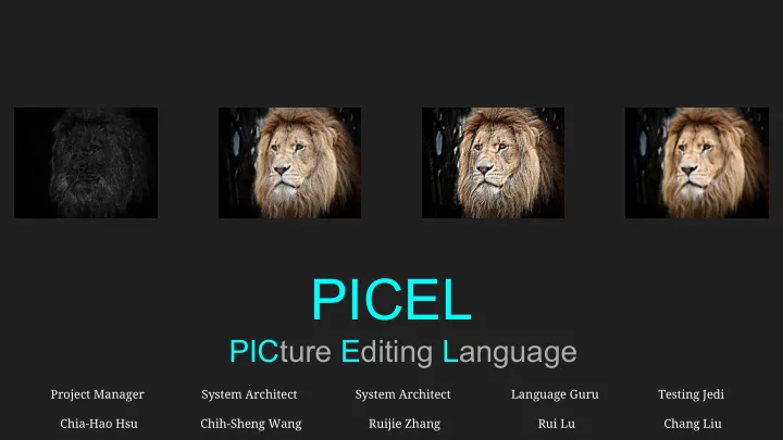 picel