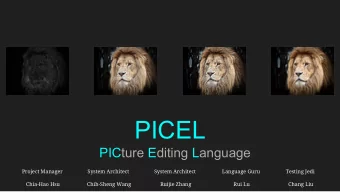 PICEL  PICture Editing Language  Project Manager  System Architect  System Architect  Language Guru