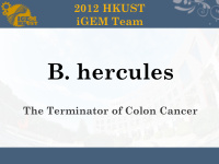 b hercules