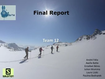 Final Report  Team 12  Andr Flix  Axelle Bette  Erzsbet Bres  Julien Momma  Laure Lisiki