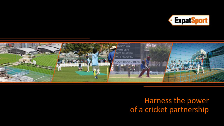 harness the power of a cricket partnership are you