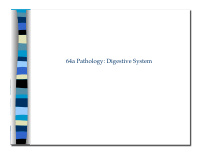 64a pathology digestive system 64a pathology digestive