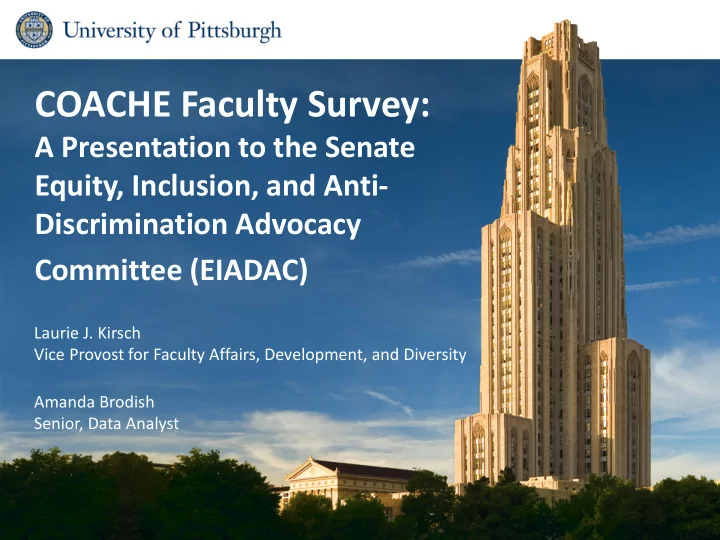 coache faculty survey