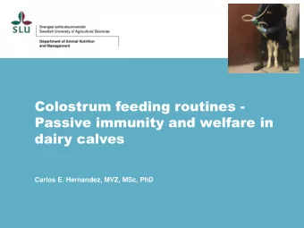 Colostrum feeding routines -  Passive immunity and welfare in  dairy calves  Carlos E. Hernandez,