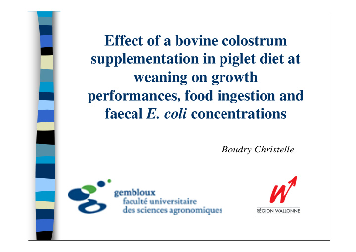 effect of a bovine colostrum supplementation in piglet