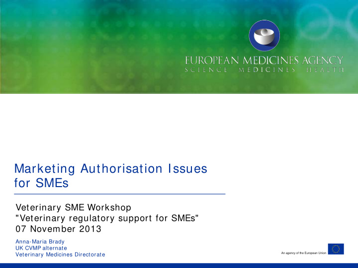 marketing authorisation issues for smes